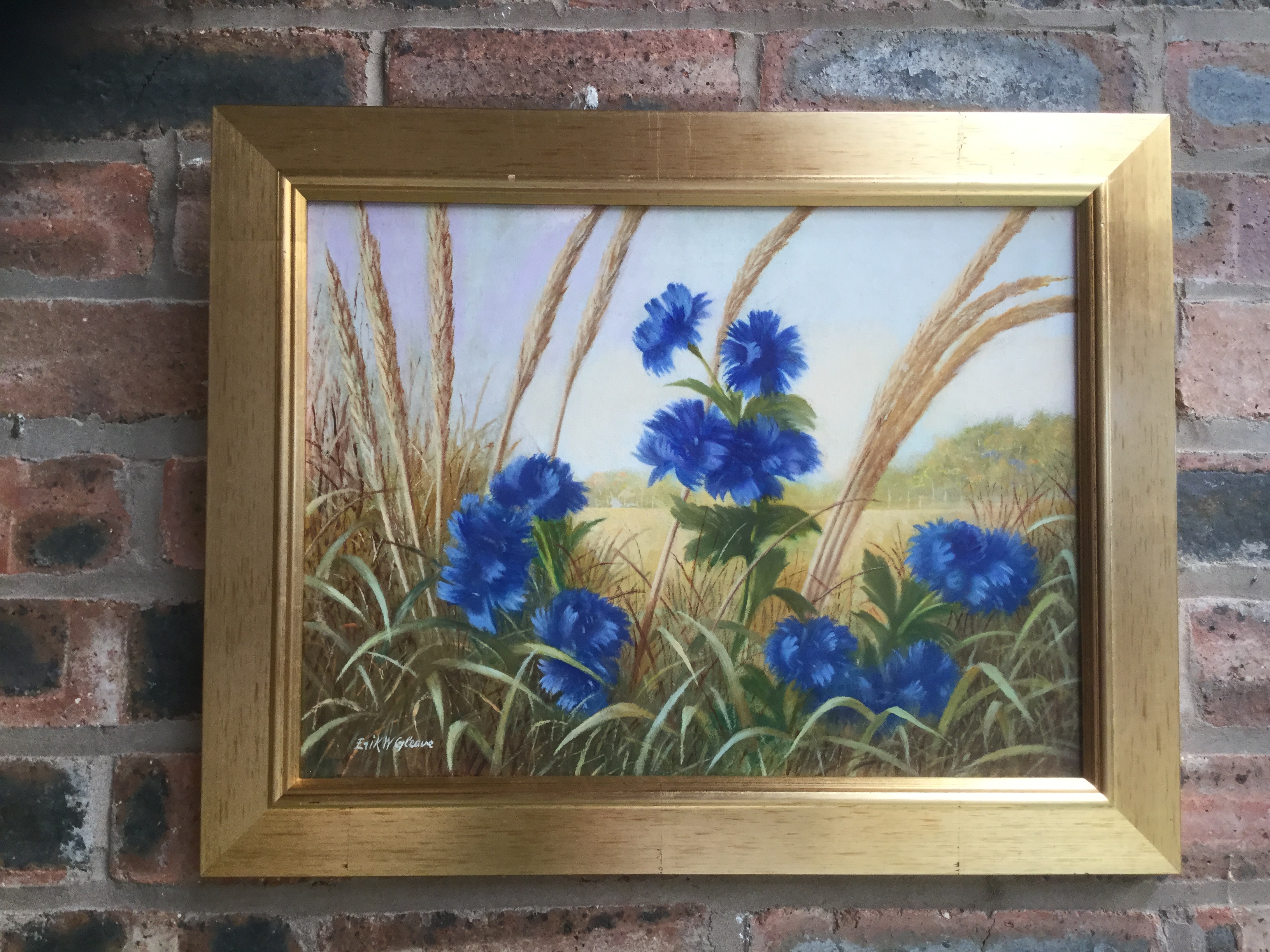 Cornflowers by Eric Gleave