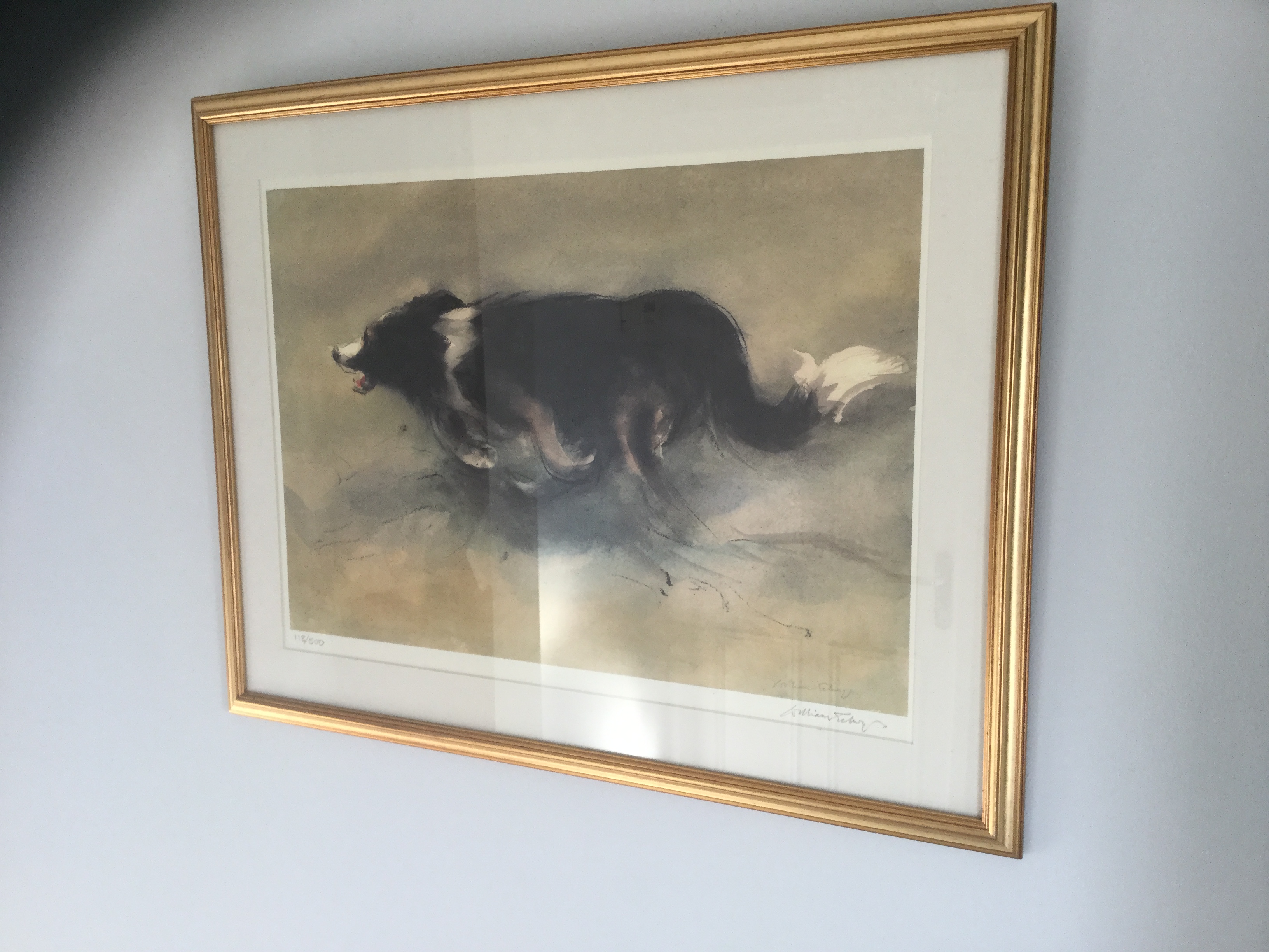 Working Sheepdog by William Selwyn