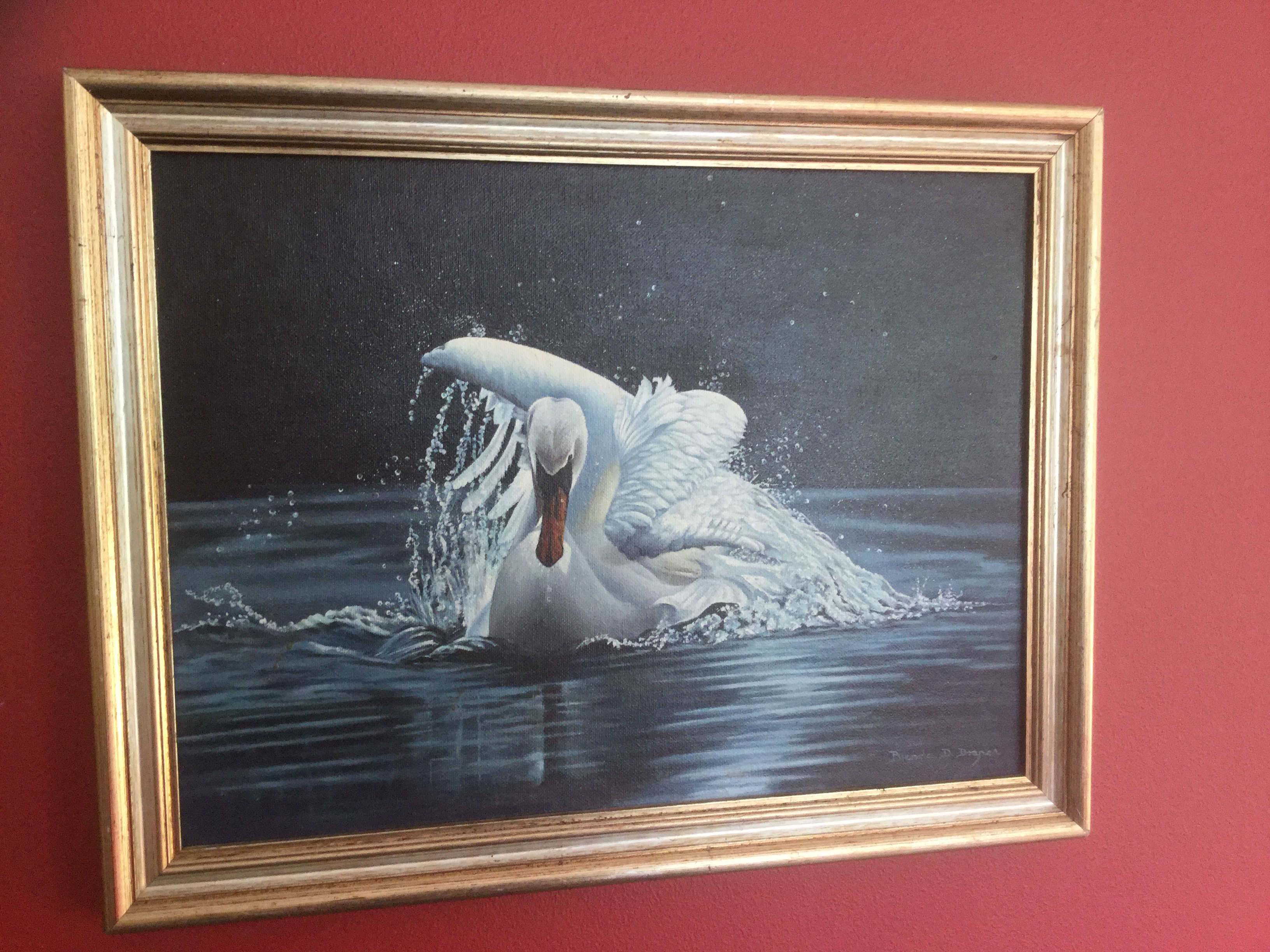Splashdown
