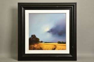 Golden Fields of Home by Barry Hilton